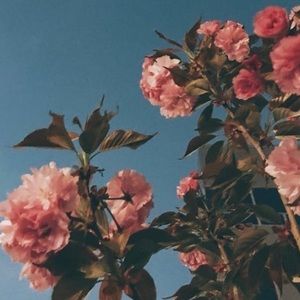 Meet your Posher, Seller